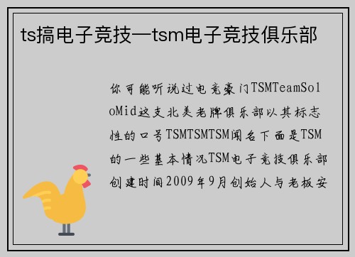 ts搞电子竞技—tsm电子竞技俱乐部