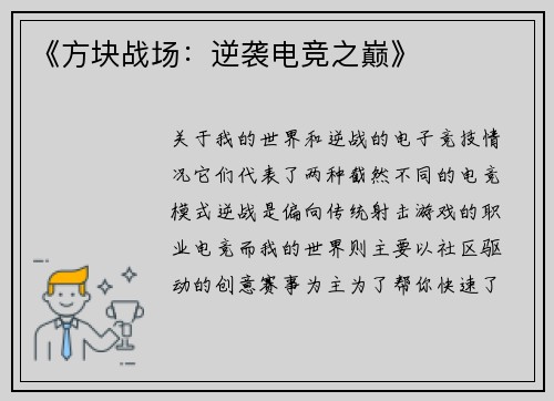 《方块战场：逆袭电竞之巅》